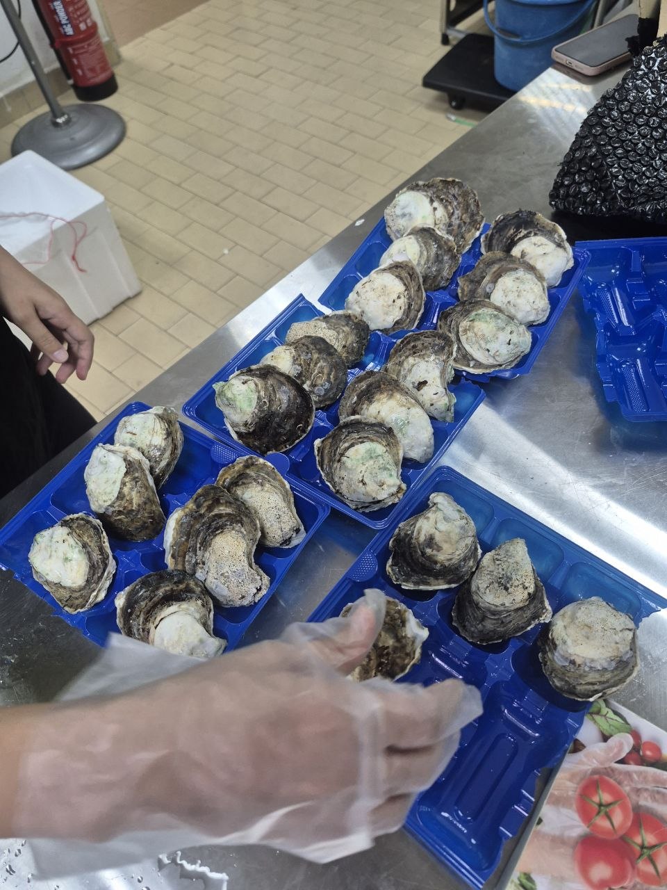 Oyster preparation